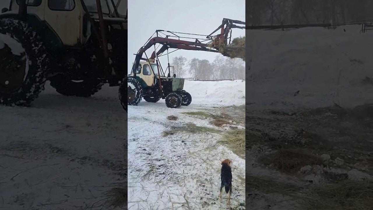 ЮМЗ+Стогомет.(кто знает что за посторонний звук?) смотреть онлайн