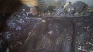 Проблемное место в бане бочке. Там где могут прогнить доски. Подробный разбор проблемы.