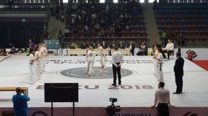 WORLD CHAMPIONSHIP on sport capoeira 2018(8)