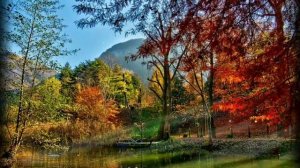 Жизненные истории. Выгнал родную мать на улицу...Истории из жизни.