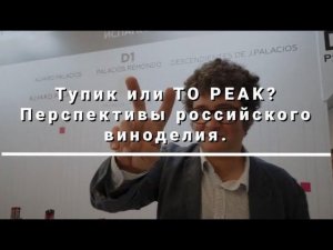 Судьба российского виноделия | Тупик или To Peak? | Мнение ключевых персон