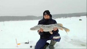 По стопам Емели!!!!18.02.2024 Аблязово!!!7 кг😎😎😎