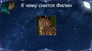 К чему снится Филин (Сонник)