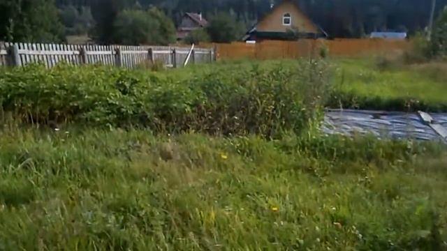 Первый настоящий урожай лука (и его сорта) смотреть онлайн