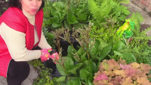 Майские хлопоты.mp4 смотреть онлайн