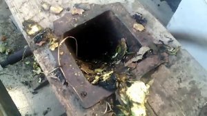 Как быстро очистить грецкий орех от зеленой кожуры