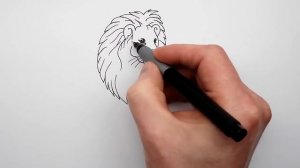 Как Нарисовать Льва поэтапно - How to draw a Lion easy - Рисуем животных