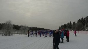 Беговые лыжи: коньковые или классические?