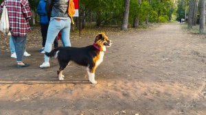 Тольятти • 16 сентября, 2023, Лыжная база