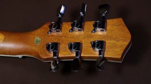 Unboxing & review of the Donner DLP-124 electric guitar, very cheap Les Paul style guitar