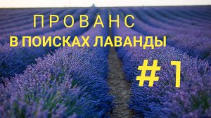 Французский Прованс. В поисках лаванды. Часть 1