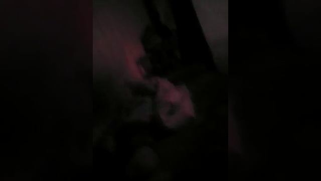 Сон в гостях #2 смотреть онлайн