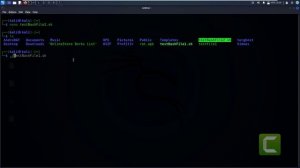 How to create and run a bash shell script in kali linux 2022