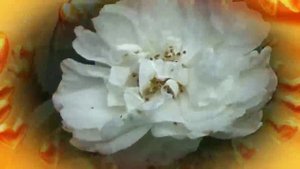 Под музыку Джеймса Ласта