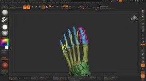 25_ступня для создания #3d_персонажей