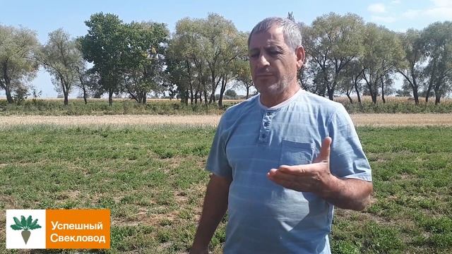 Свекловичный севооборот, люцерна. смотреть онлайн