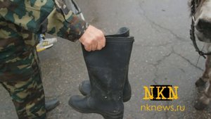 Девушка верхом на осле попыталась форсировать реку в Новокузнецке