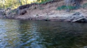 лифан на ветерке гибрид