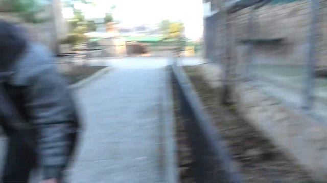 Маркиза пляшет, тигры - кто вперёд угостится) The marquise is dancing, the tigers - who is the firs смотреть онлайн