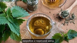 Какие болезни на самом деле лечит крапива ? Крапива лечебные свойства