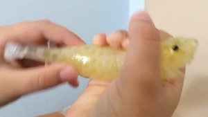 Обзор игрушки акула Антистресс