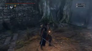 Два самых топовых для меня оружия в Bloodborne