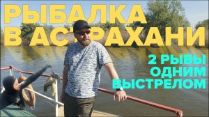 Рыбалка в Астрахани, активный отдых, подводная охота — две рыбы одним выстрелом | ДОМ ТАЙМЕНЯ