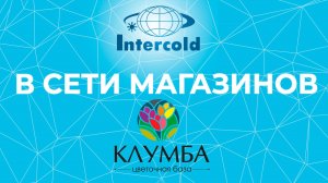 Intercold в сети цветочных магазинов "Клумба"