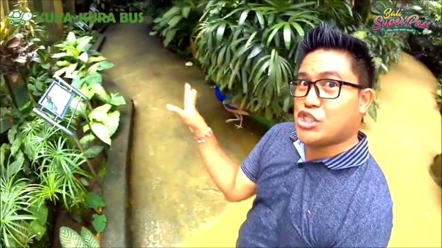 Bali Bird Park - Where Birds & People Meet (FULL VIDEO)