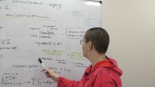 Анатомо-физиологические особенности молодняка КРС в раннем возрасте