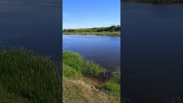 Мокша #рыбалка #река #мордовия #россия #нарыбалке #nature #мокша #fishing