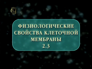 Физиологические свойства клеточной мембраны