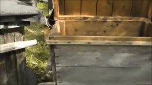 Как сделать простой отводок на пасеке!🏡🌳🐝🐝🐝🌳😁