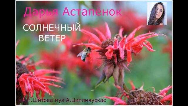Солнечный ветер ( музыка А Циплияускас  слова Н.Шитова исполняет Дарья Астапёнок)