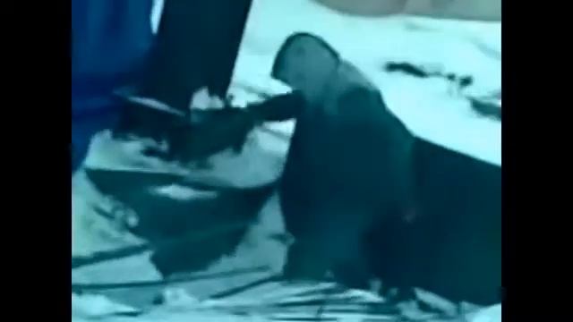 Очень крутой сварщик смотреть онлайн