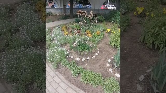 Ошибки садовника:Лучше меньше чем больше.