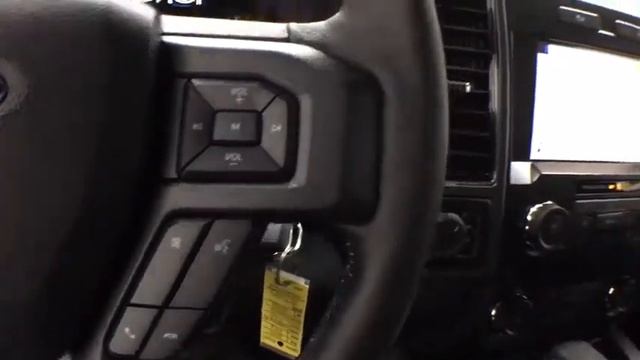 2019 Ford F-150 Grand Rapids, Rockford, Big Rapids, Muskegon, Greenville, MI 19T495 смотреть онлайн