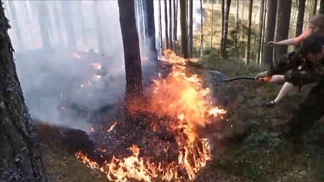 Тушение лесного пожара подручными средствами на общественных началах смотреть онлайн