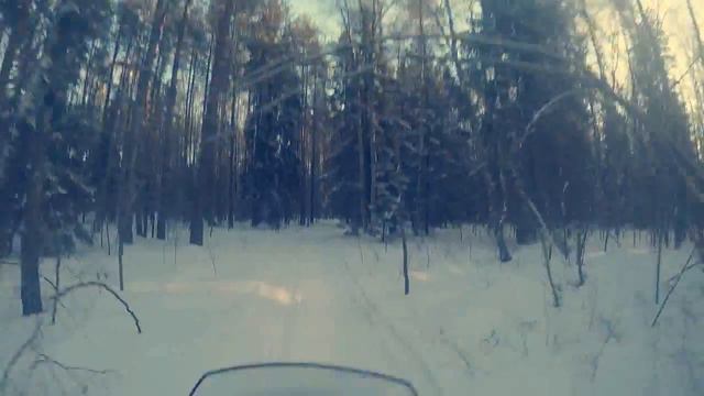 Завидово 2017