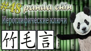 Урок 48. Ключи китайских иероглифов: 竹 (бамбук), 毛 (шерсть) и 言 (речь)