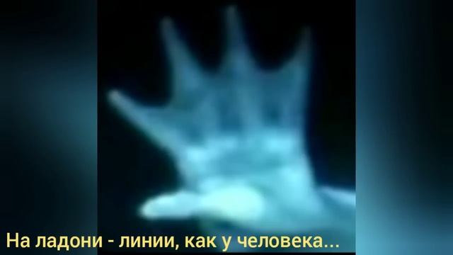 Камеры зафиксировали подводного гуманоида смотреть онлайн