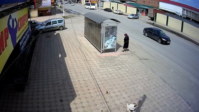 Уличная IP камера zIPCam-AIR30-1080(W), 3,6 mm., 2 Mpx, 25 к.с., Цифромания, Ингушетия, День, Собак