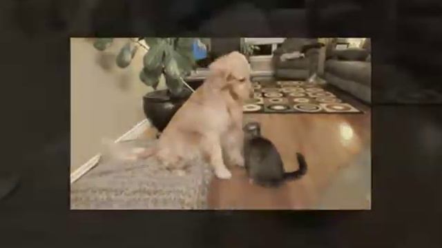 Песня про дружбу смотреть онлайн