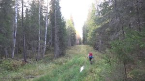 Кировские леса. ЧУРСЬЯ. Опаринская УЖД. Нежилой посёлок ЛЕСОРУБОВСКИЙ и УЛА