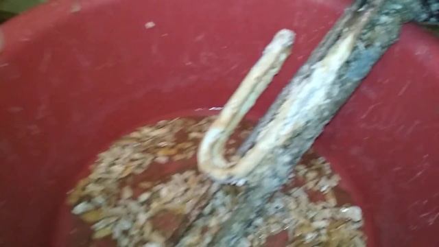 Чистка электрического водонагревателя. смотреть онлайн