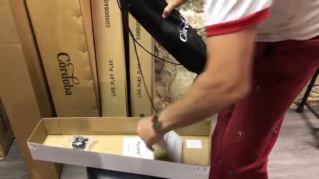 Paul Bessolo talks about the Cordoba Ukulele Player Pack Soprano смотреть онлайн