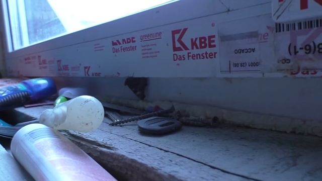 Привезли профиля! Мой домашний зоопарк! Паук вселяется в квартиру смотреть онлайн