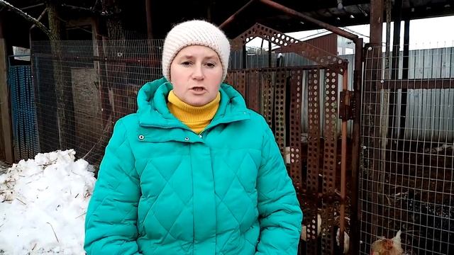 Дрожжевание и трикальций фосфат - увеличиваем яйценоскость кур.