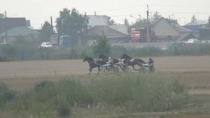 Рысаки 4 х лет и старше 2400м. Емельяновский ипподром 2019 сельский