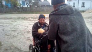 Мавпа в колясці прикол